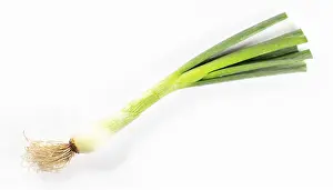 Spicy Vegetable Dishes Prints: Vegetable, spring onion or spring onion