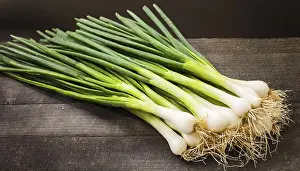 Garden Produce Prints: Vegetable, spring onion or spring onion