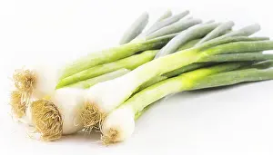 Garden Produce Photography Prints: Vegetable, spring onion or spring onion