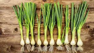 Garden Produce Photography Prints: Vegetable, spring onion or spring onion