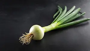 Spring Onion Prints: Vegetable, spring onion or spring onion
