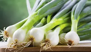 Vegetable Meal Ideas Prints: Vegetable, spring onion or spring onion