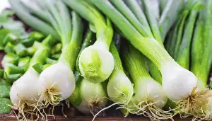 Garden Vegetables Prints: Vegetable, spring onion or spring onion