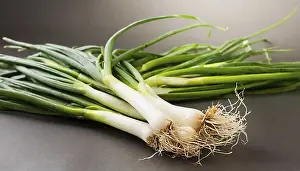 Garden Produce Photography Prints: Vegetable, spring onion or spring onion
