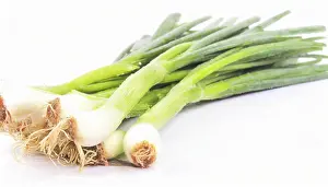 Vegetable Meal Ideas Prints: Vegetable, spring onion or spring onion