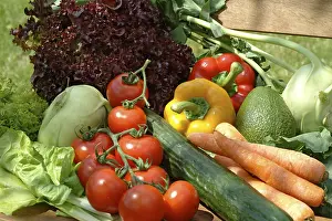 Colorful Garden Plants Prints: Vegetables