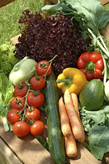 Colorful Garden Plants Prints: Vegetables