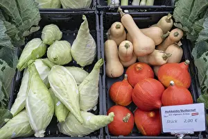 Deserted Garden Produce Prints: Vegetables, pointed cabbage and pumpkins