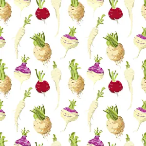 Studio Shot Of Vegetables Prints: Vegetables roots pattern over white background