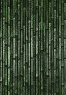 Images Dated 9th January 2024: Vertically Aligned Bamboo Stick Print