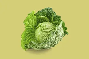 Clear Background Images Prints: Vibrant green cabbage with textured leaves on a solid background
