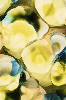 Vibrant Abstract Design Prints: Vibrant interplay of yellow, blue