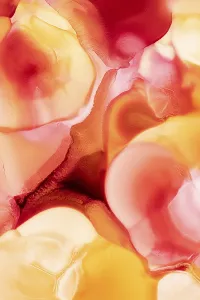 Studio Background Image Prints: Vibrant liquid abstract inks flow together
