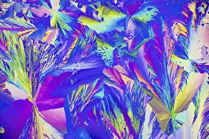Vibrant Colors Prints: A vibrant microcrystals under the microscope