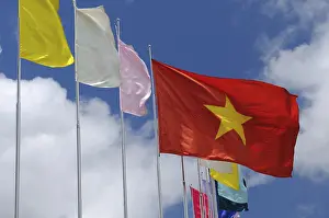 Asian Flags Prints: Vietnamese flag