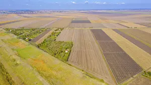 Agricultural Acreage Landscape Photo Prints: Above view on agricultural fields