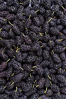 Healthy Eating Concept Image Prints: Top view assortment mulberries