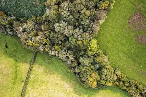 Unmanned Aerial Vehicle UAV Prints: Top Down view of Autumn Colors over Devon fields from a drone