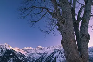 European Nature Scene Prints: View from Braunwald on the Glarus Alps