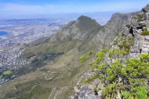 Cape Town View Prints: View of Cape Town from top of Table Mountain
