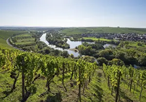 Wine Growing Region Europe Prints: View from the castle over Alter Main