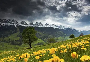 European Mountain Range Landscape Prints: View to the Churfirsten mountain range