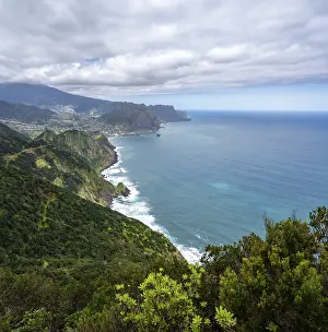 Madeira Coastal Landscape Prints: View of cliffs overgrown with forest