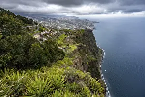 Madeira Coastal Landscape Prints: View of the cliffs from the viewing platform