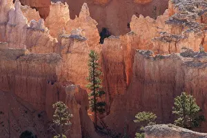 Tourist Attraction Utah USA Prints: View of coloured rock formations