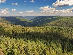 Black Forest Landscape Photography Prints: A view down into a deep valley