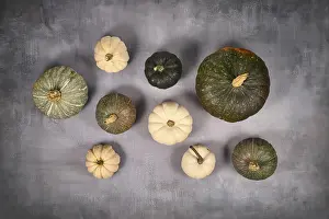 High Angle View Of Pumpkins Prints: Top view of different green and white pumpkins