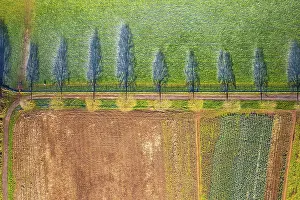Agricultural Landscapes From Above Prints: Top Down view from a drone over Fields