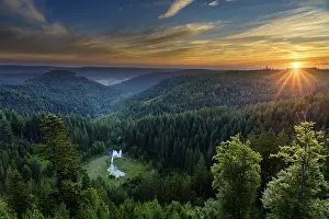 Morning Light In The Black Forest Prints: View from the Ellbachseeblick viewing platform