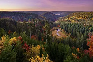 Evening Light In The Black Forest Prints: View from the Ellbachseeblick viewing platform