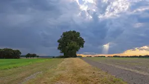 European Agricultural Landscapes Prints: View across fields into the sky