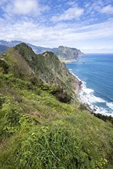 Madeira Cliffs Prints: View of forest-clad cliffs and mountains
