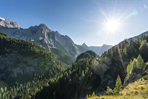 Dolomites Landscape Photography Prints: View of the forest and mountains