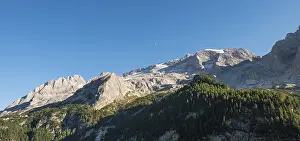Mountain Chain Of Peaks Prints: View of the forest and mountains