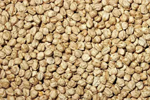 Healthy Eating Ingredients Prints: Top view of a full frame of fresh raw chickpeas offering a natural texture and pattern