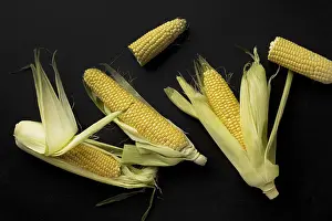 High Quality Photo Prints: Top view fresh corn composition