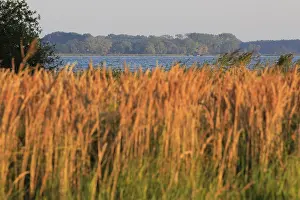 Deserted Beaches In Germany Prints: View from the Gnitz peninsula, September