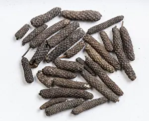 Southeast Asia Food Prints: Top view of java long pepper close up on gray ceramic plate