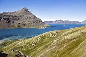 South Georgia Landscape Prints: View towards King Edward Point