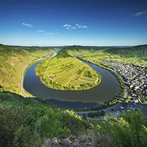 Moselle Valley Prints: View of the Moselle loop, Bremm
