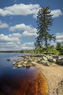 Blue Sky Europe Scenery Prints: A view of the Oderteich in the Harz Mountains under a blue sky