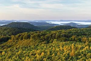 European Low Mountain Landscape Prints: View over the Palatinate Forest