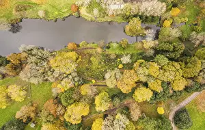 Northern Europe Autumn Landscape Prints: Top Down view of Park, Pond and Trees in the colors of fall over Devon