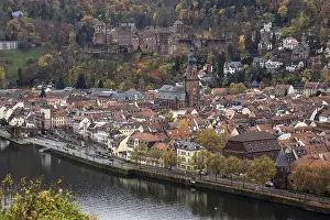 Historic Centre Europe Prints: View from Philsophenweg to Neckar
