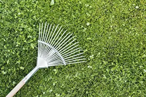 View From Above Farmyard Prints: Top view rake grass