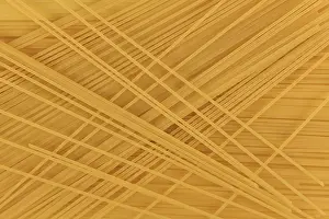 Wheat Grain Varieties Prints: Top view of raw spaghetti pasta